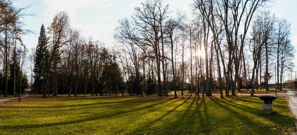 Schlosspark Steyr © Marlon Spellak