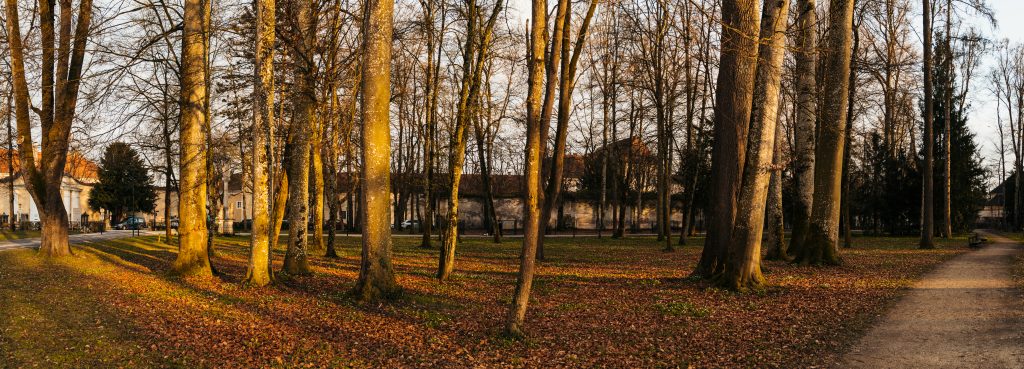 Schlosspark Steyr © Marlon Spellak